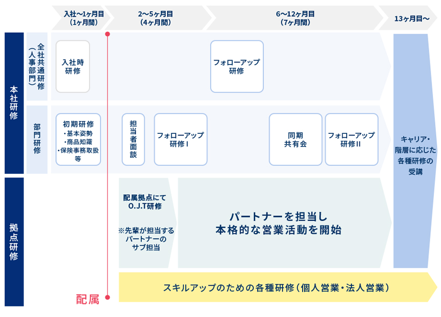 【拠点研修】入社3～6ヶ月目 配属拠点にてO.J.T研修、研修履修簿に基づきO.J.Tを実施。入社7～18ヶ月目 パートナーを担当し本格的な営業活動を開始、研修履修簿に基づき拠点の状況等に応じた必要な研修O.J.Tを実施。入社19ヶ月目以降 各階層に応じて研修等の実施。
【本社研修】代理店営業本部 教育部門：入社～2ヶ月目 初期研修（東京）・基本姿勢・心構え・ニードセールス・商品知識・保険事務取扱・パートナー開拓。7～18ヶ月目 フォローアップ。19ヶ月目～ キャリア階層に応じた研修各種の受講。人事部門：入社時研修・フォローアップ研修