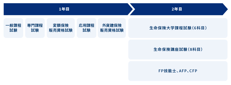 １年目：一般課程試験、専門課程試験、変額保険販売資格試験、応用課程試験。２年目：生命保険大学課程試験、生命保険講座試験、FP技能士、AFP、CFP
