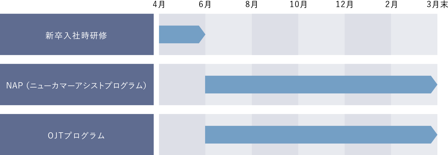 初年度研修の流れ