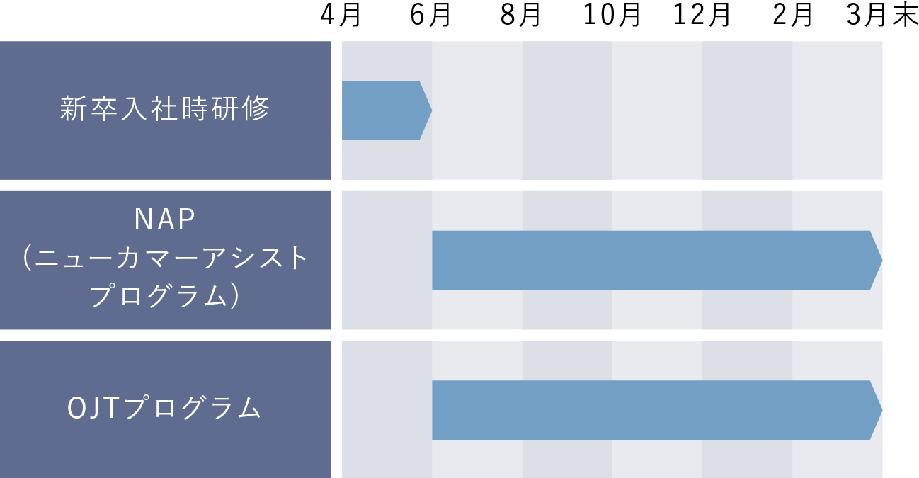 初年度研修の流れ