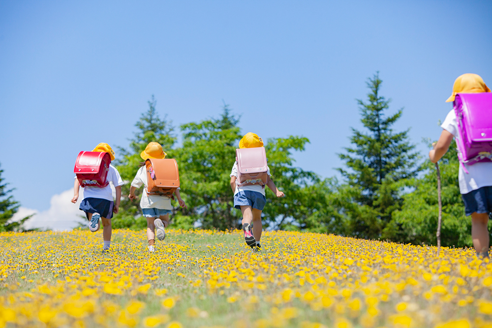 花畑を歩くランドセルを背負った子供たちの写真