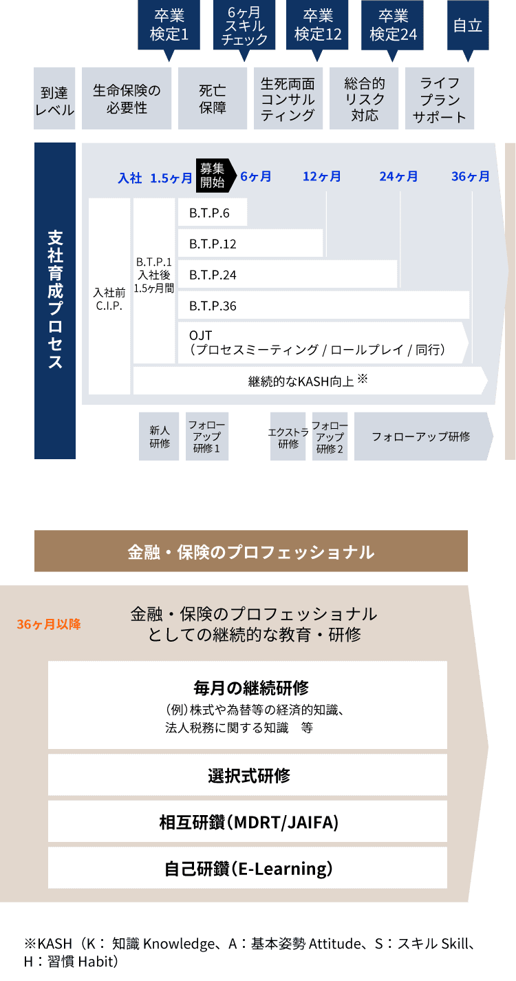 支社育成プロセスの図