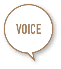 VOICE