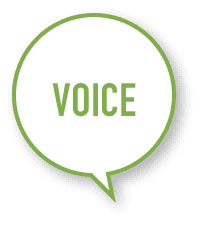 VOICE