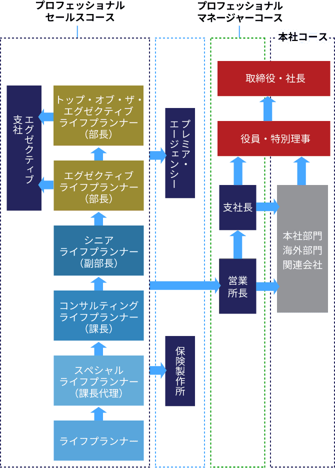 具体的なキャリアパスの図