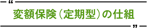 変額保険（定期型）の仕組