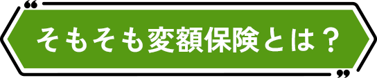 そもそも変額保険とは？