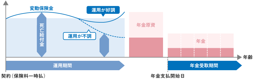 変額個人年金保険のイメージ（一時払の場合）